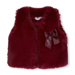 A Dee Gilet