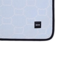 Hugo Boss Dekentje