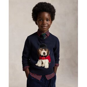 Ralph Lauren Trui