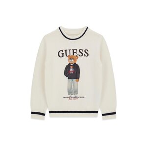 Guess Trui