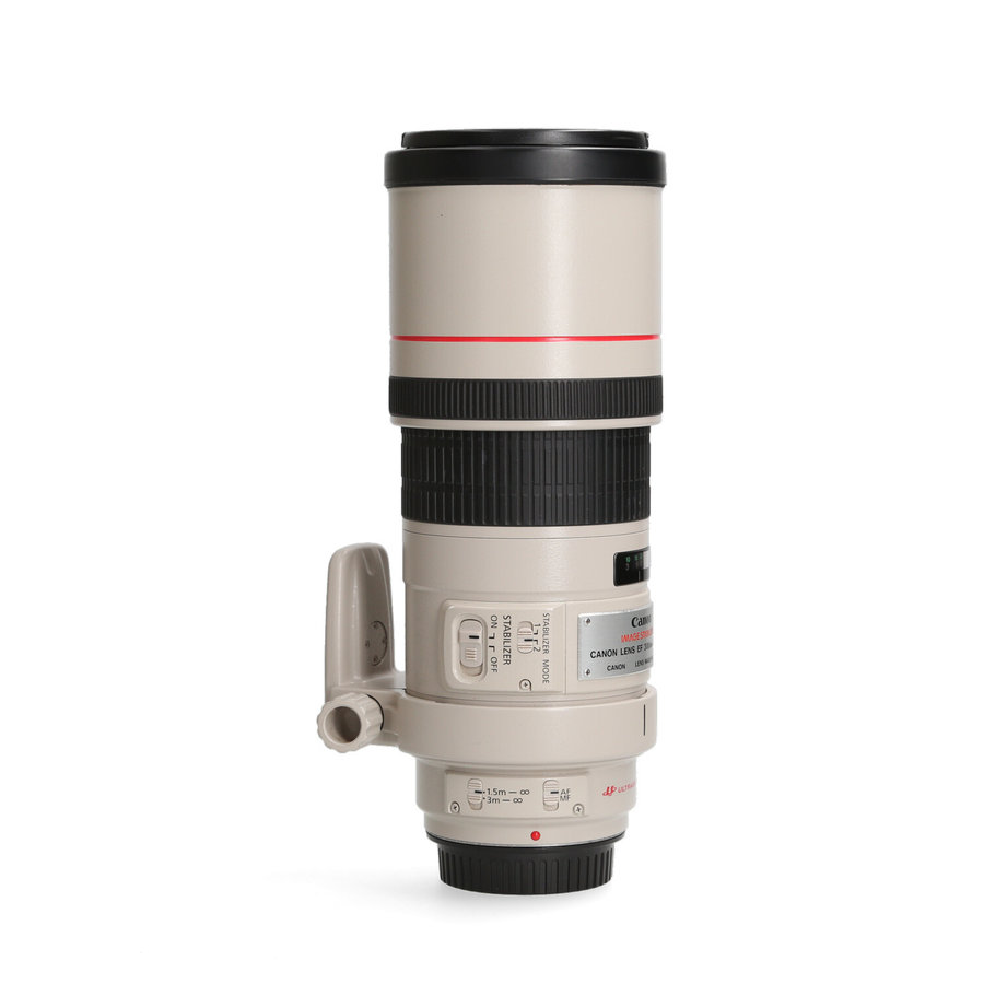 Canon 300mm 4.0 L EF IS USM