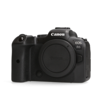 Canon R6 - <2.000 kliks