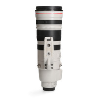 Canon 200-400mm 4.0 L EF IS USM 1.4x Extender