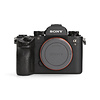 Canon Sony A9 - 2 kliks - Incl. btw