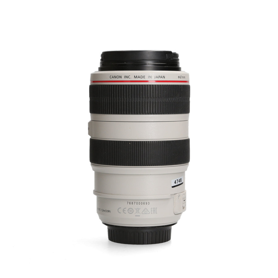 Canon 70-300mm 4.5-5.6 L EF IS USM