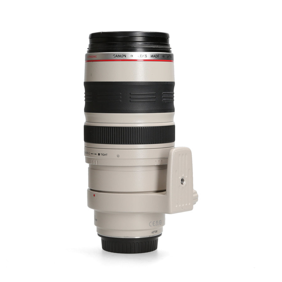 Canon 100-400mm 4.0-5.6 L EF IS USM