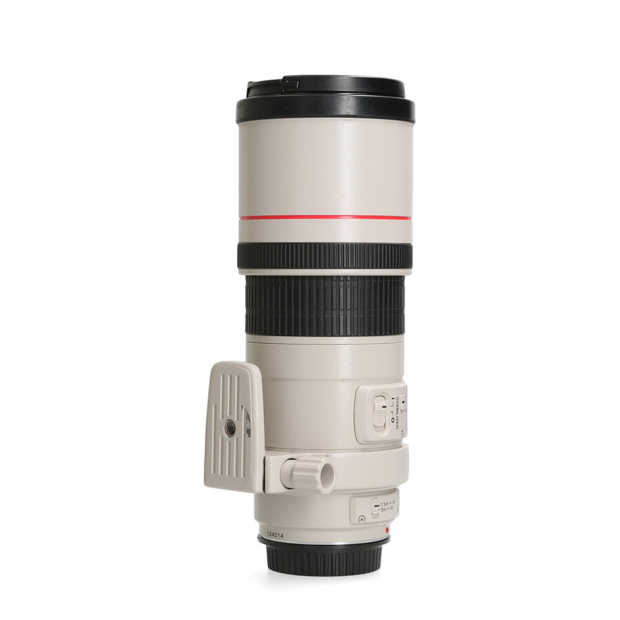 Canon 300mm 4.0 L EF IS USM