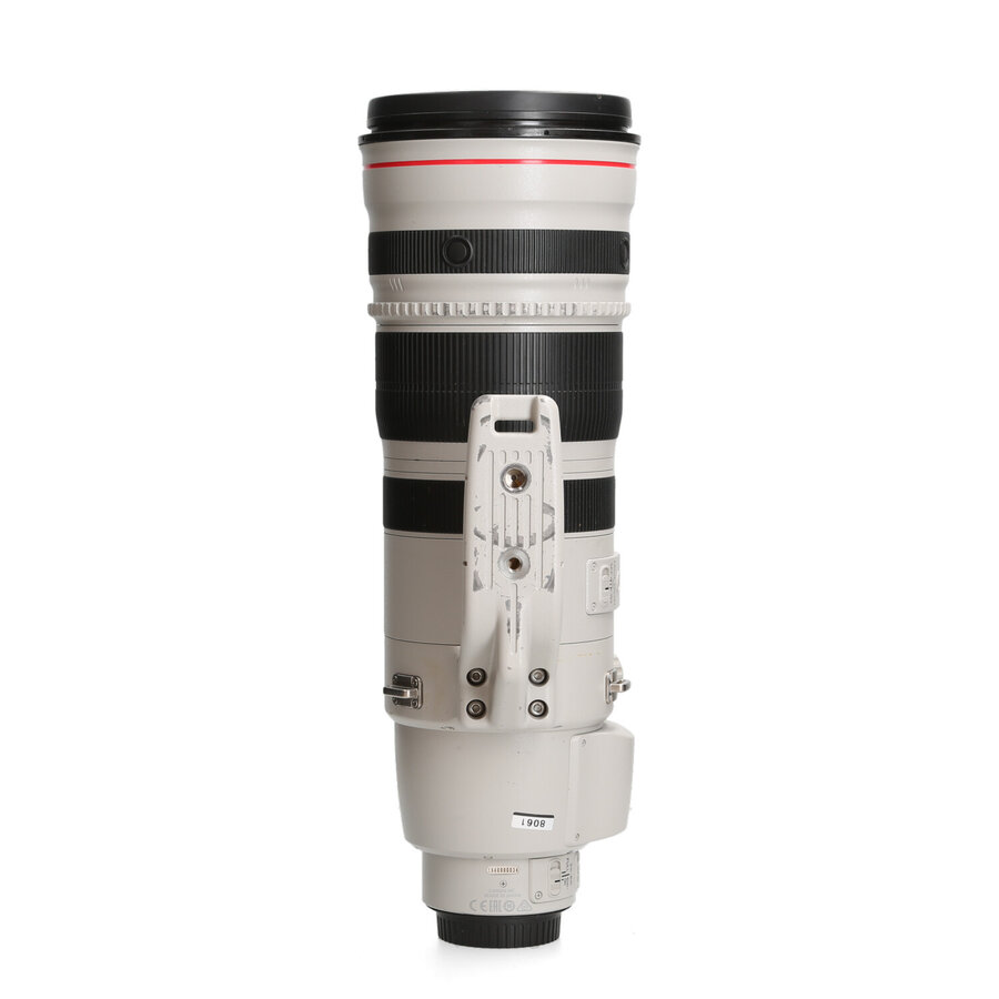 Canon 200-400mm 4.0 L EF IS USM 1.4X Extender