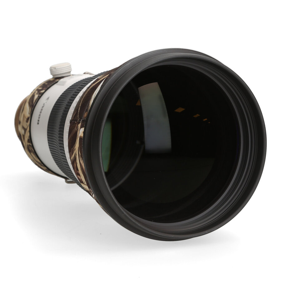 Canon RF 400mm 2.8 L IS USM