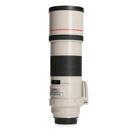 Canon 300mm 4.0 L EF IS USM