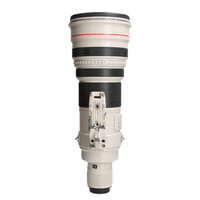 Canon 600mm 4.0 L EF IS USM - Zie text