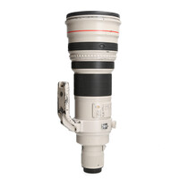 Canon 600mm 4.0 L EF IS USM - Zie text