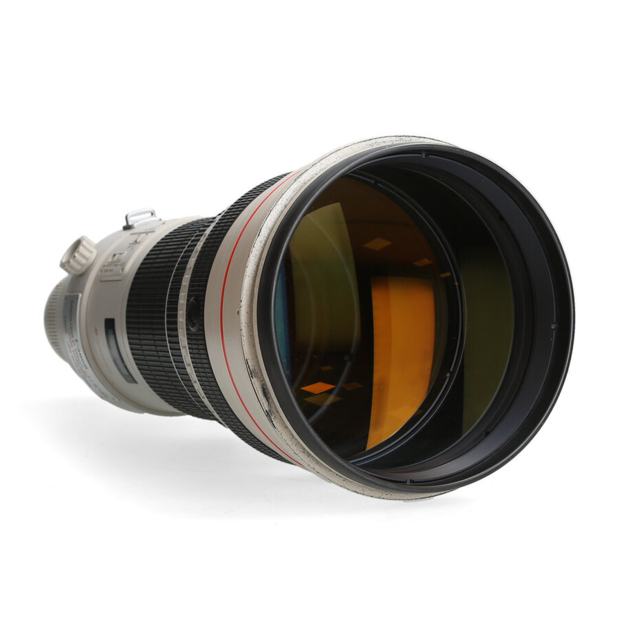 Canon 600mm 4.0 L EF IS USM - Zie text