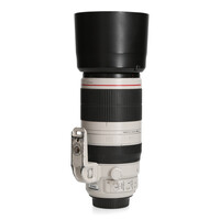 Canon 100-400mm 4.5-5.6 L EF IS USM II