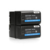 Sony 2x Batterypack for Sony BP-U60