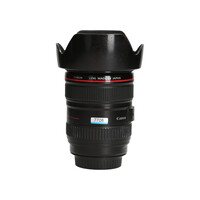 Canon EF 24-105mm 4.0 L IS USM
