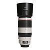 Canon Canon EF 100-400mm 4.5-5.6 L IS II USM