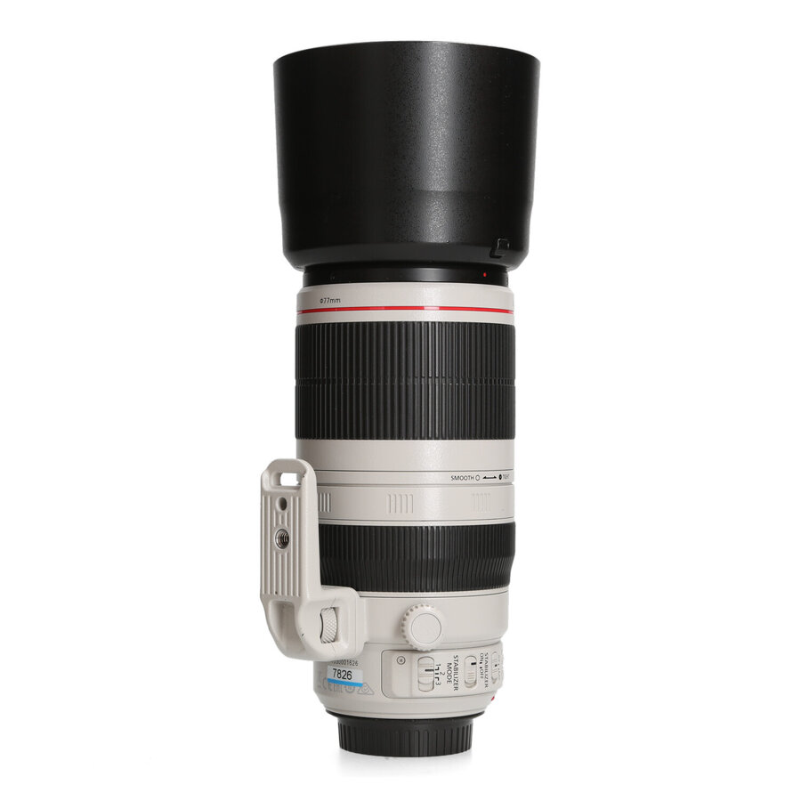 Canon EF 100-400mm 4.5-5.6 L IS II USM