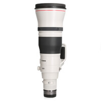 Canon RF 600mm 4.0 L IS USM