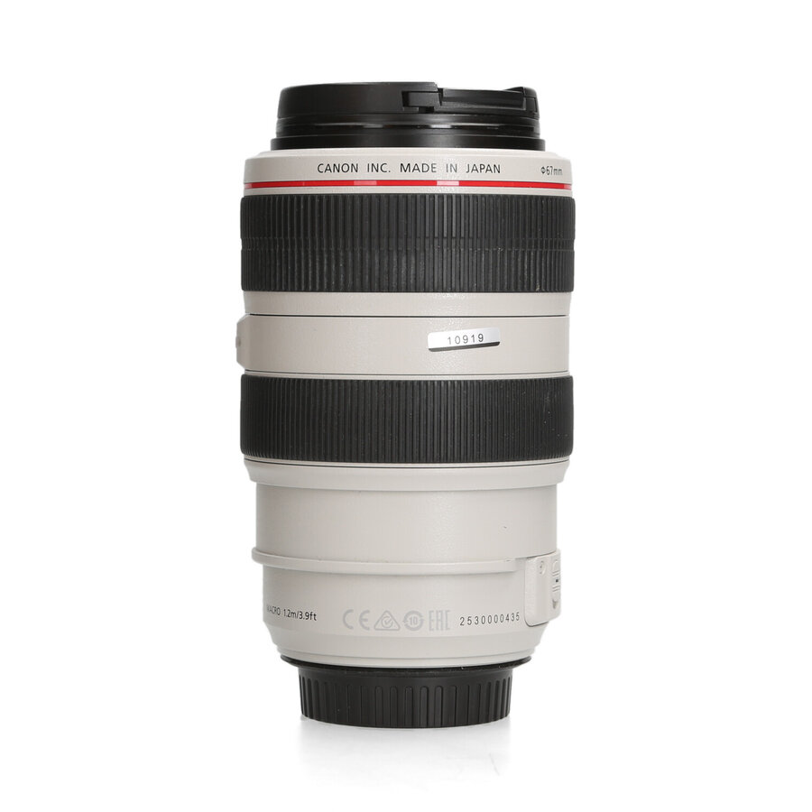 Canon 70-300mm 4.5-5.6 L EF IS USM