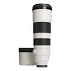 Sony Sony FE 200-600mm 5.6-6.3 G OSS