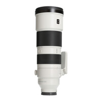 Sony FE 200-600mm 5.6-6.3 G OSS