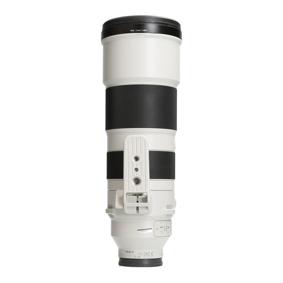 Sony FE 200-600mm 5.6-6.3 G OSS