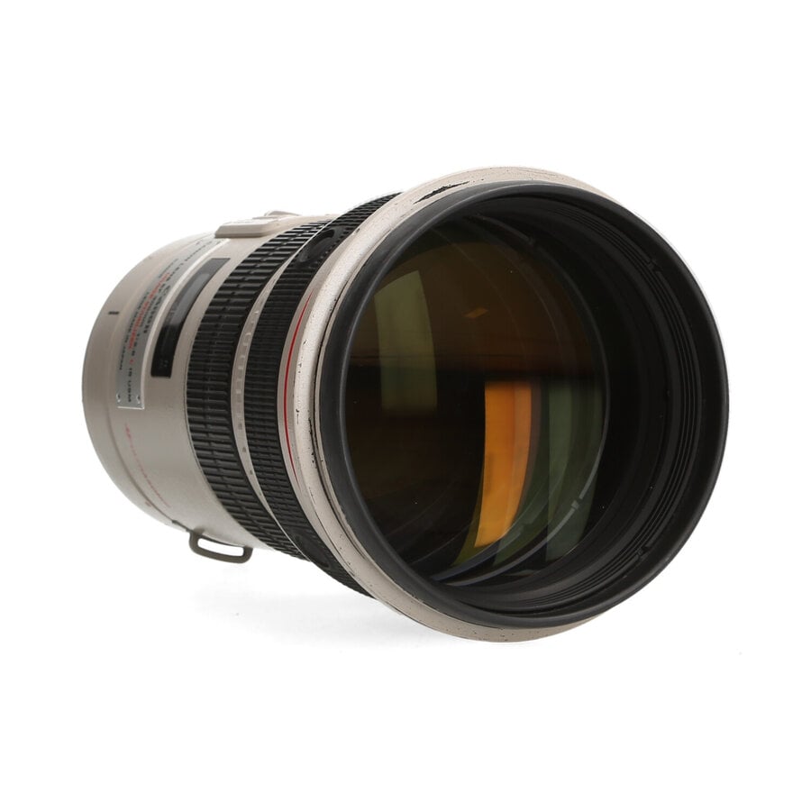 Canon 300mm 2.8 L EF IS USM