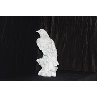 thumb-Betonnen roofvogel op boomtak-4