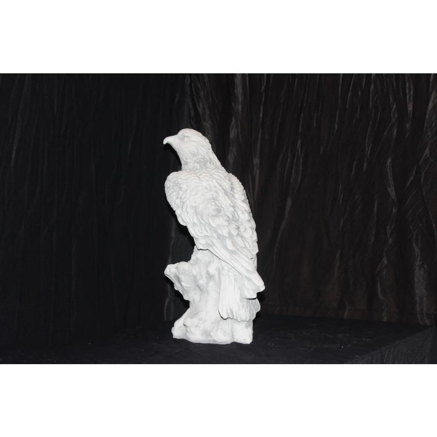 Betonnen beeld van een roofvogel op boomtak – havik, buizerd of valk-4