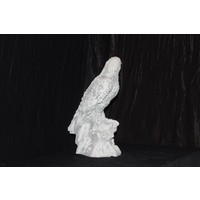 thumb-Betonnen beeld van een roofvogel op boomtak – havik, buizerd of valk-3