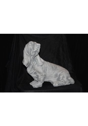 Betonnen beeld Engelse Basset 