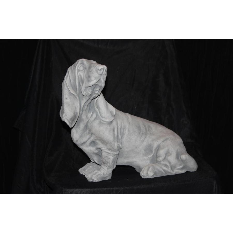 Betonnen beeld Engelse Basset hond voor tuin of huis-1