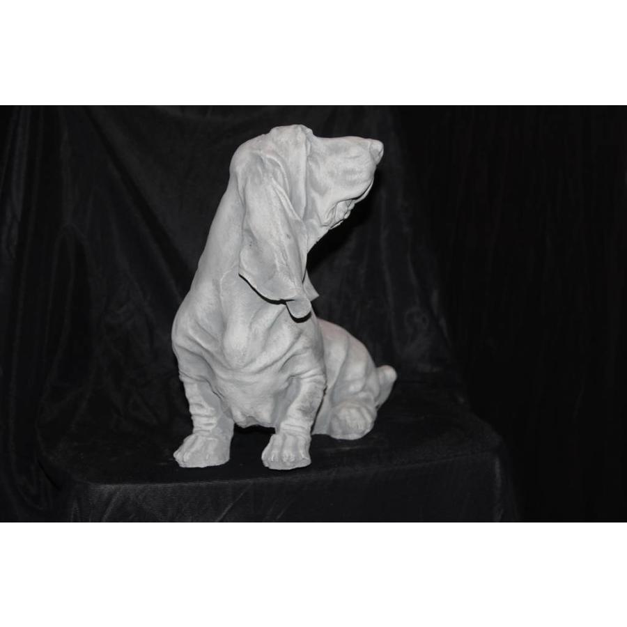 Betonnen beeld Engelse Basset hond voor tuin of huis-2