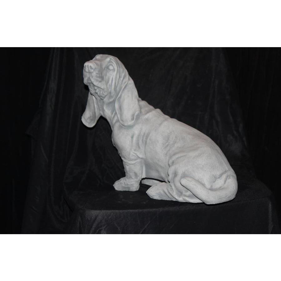Betonnen beeld Engelse Basset hond voor tuin of huis-3