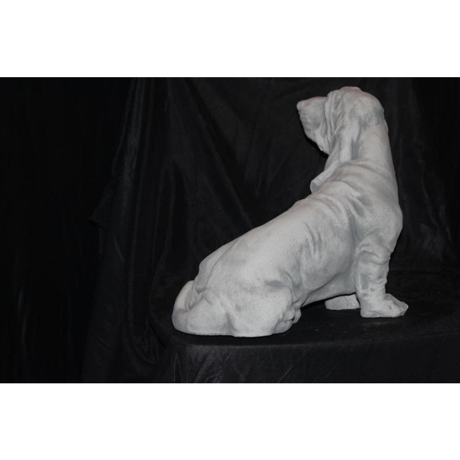Betonnen beeld Engelse Basset hond voor tuin of huis-4