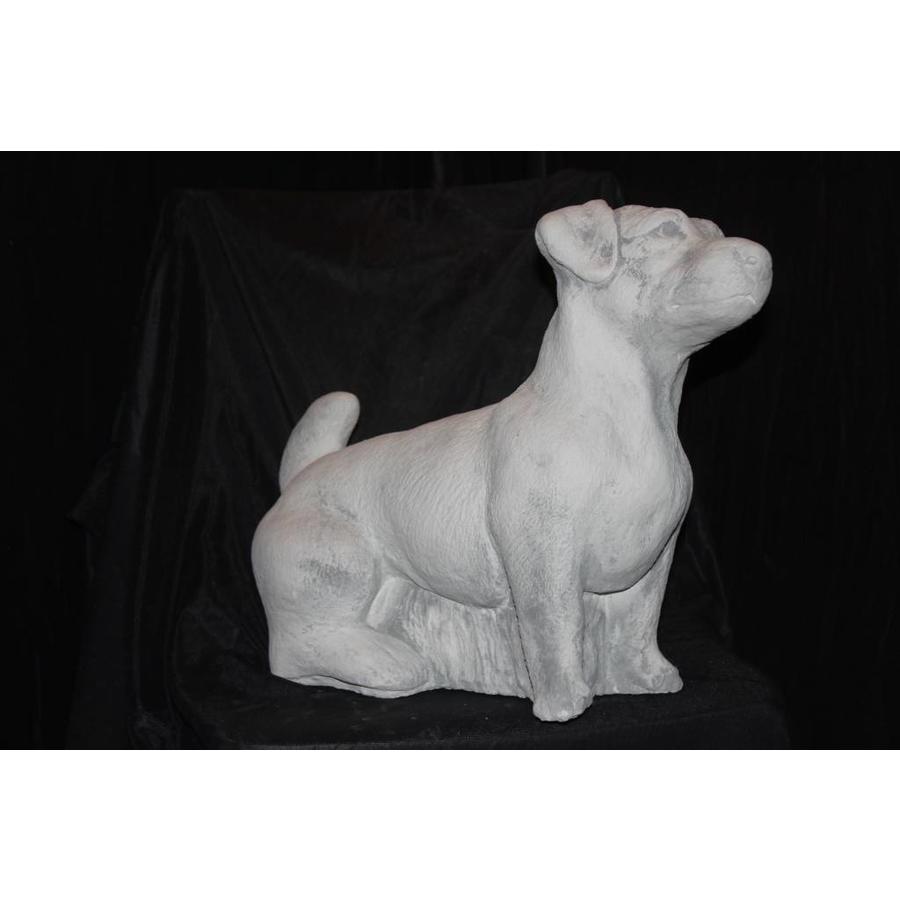 Betonnen beeld Jack Russell hond voor tuin of huis-2