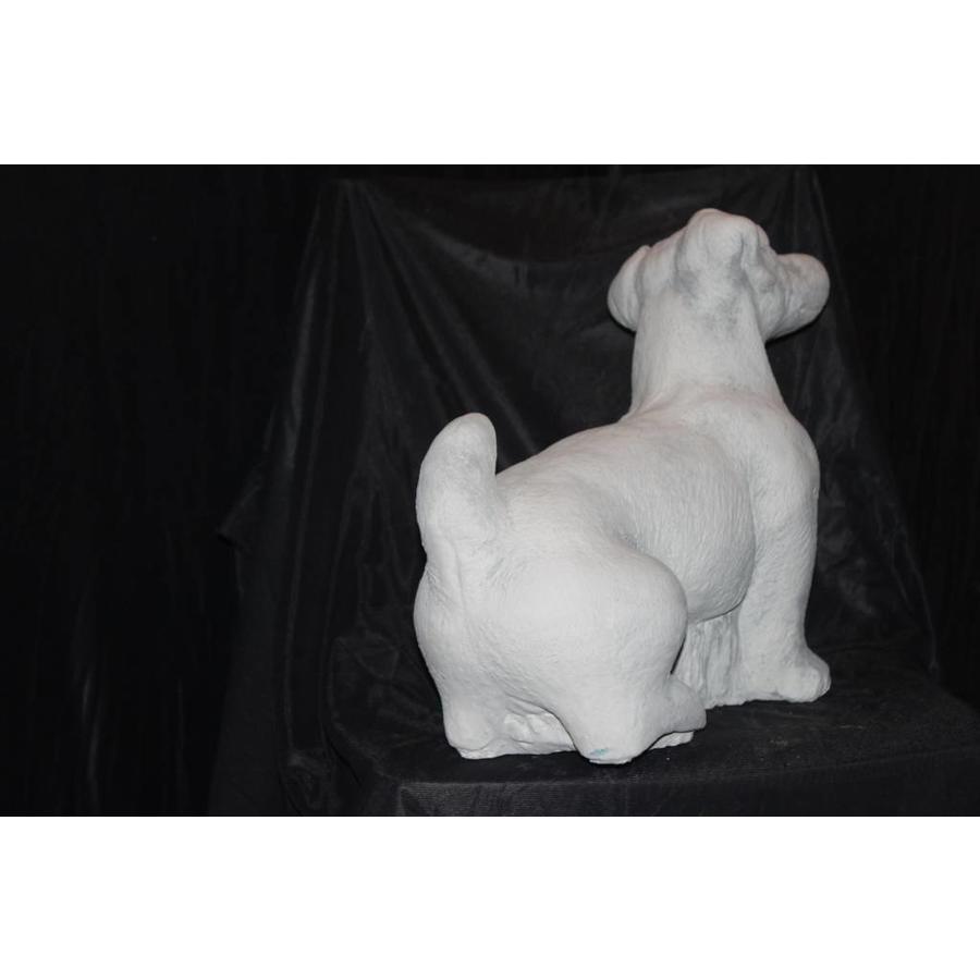 Betonnen beeld Jack Russell hond voor tuin of huis-3