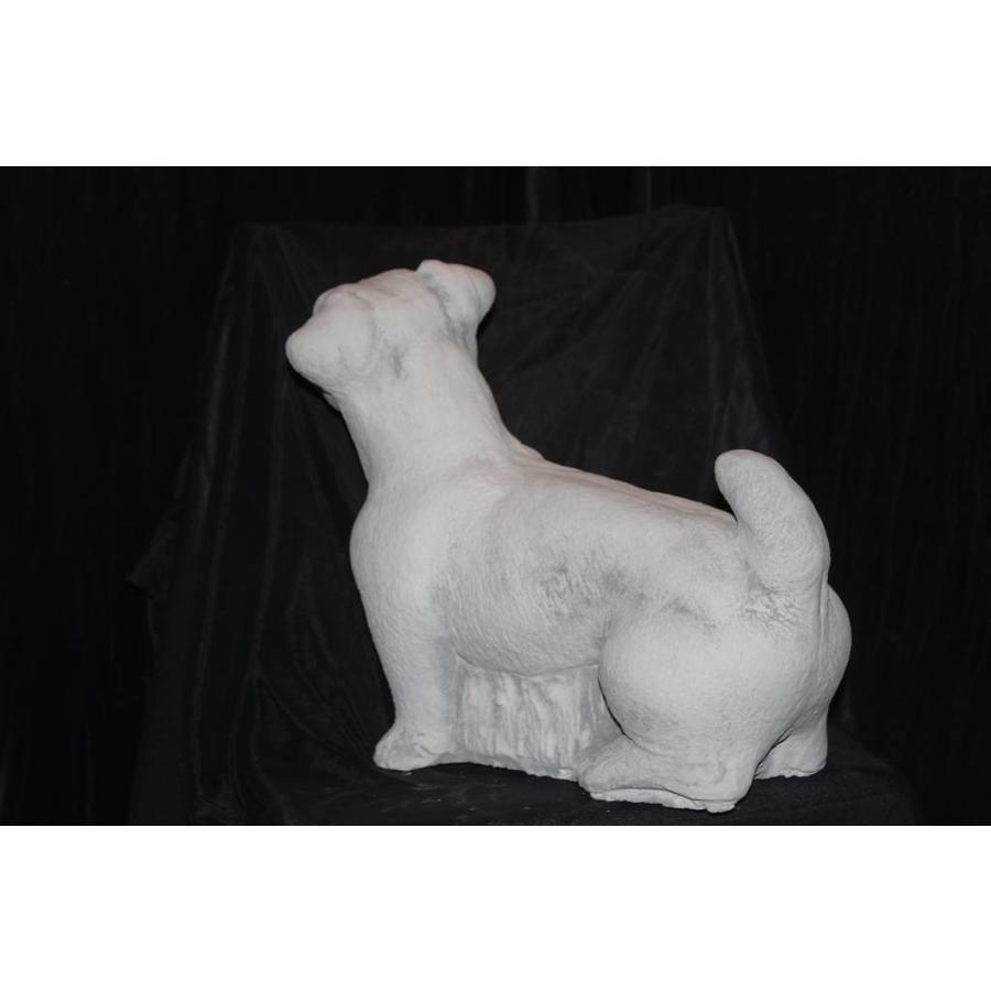 Betonnen beeld Jack Russell hond voor tuin of huis-4
