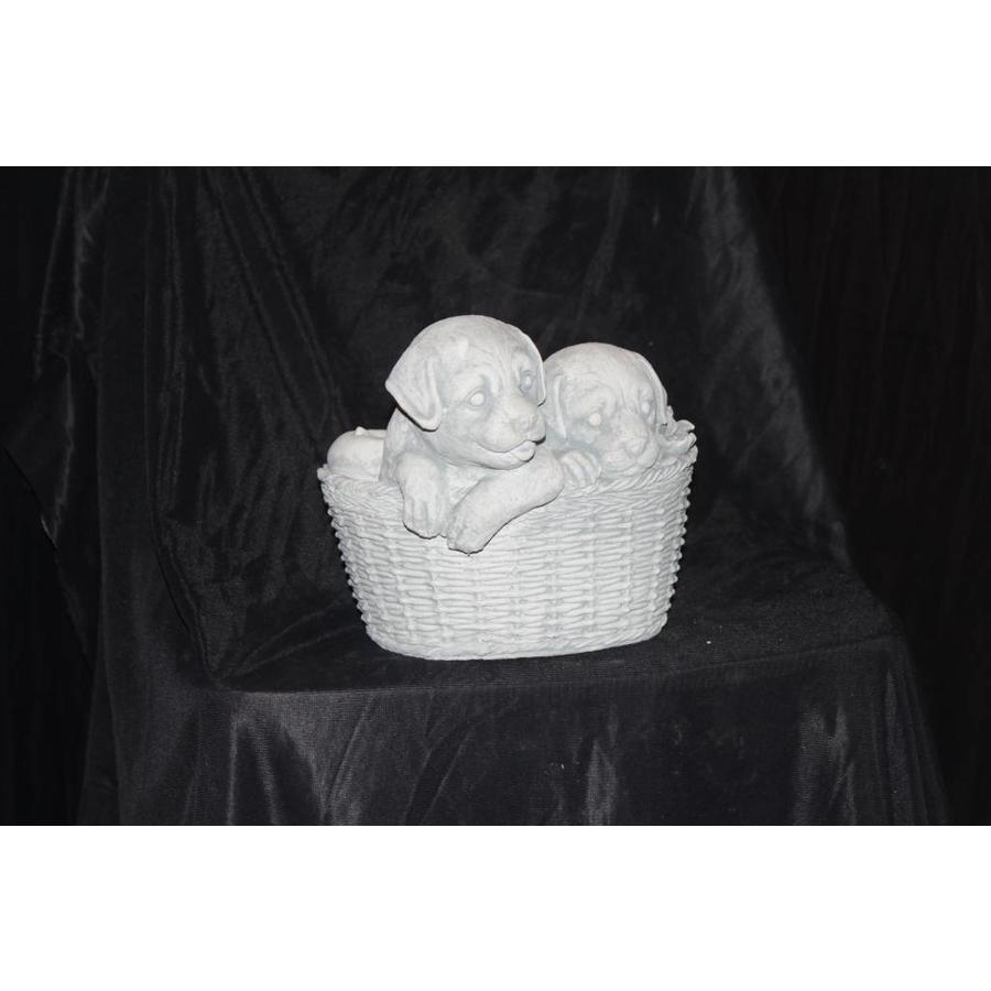 Betonnen plantenbakje met twee spelende puppy’s-2