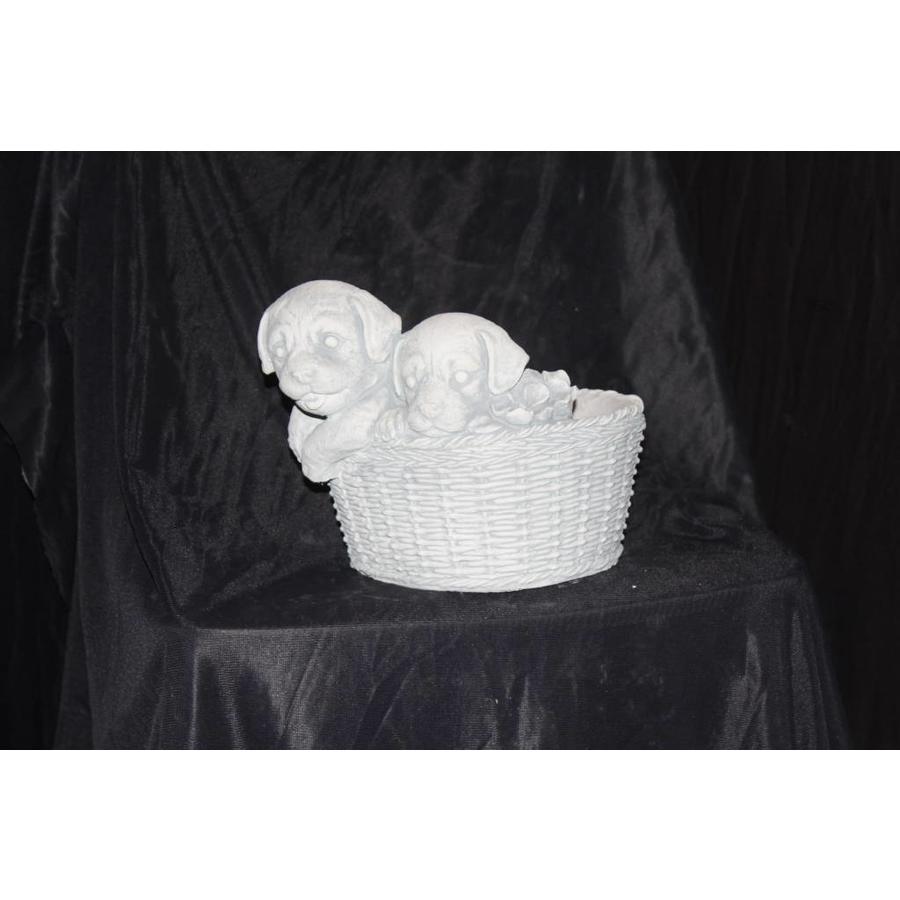Betonnen plantenbakje met twee spelende puppy’s-3