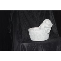 Betonnen plantenbakje met twee spelende puppy’s