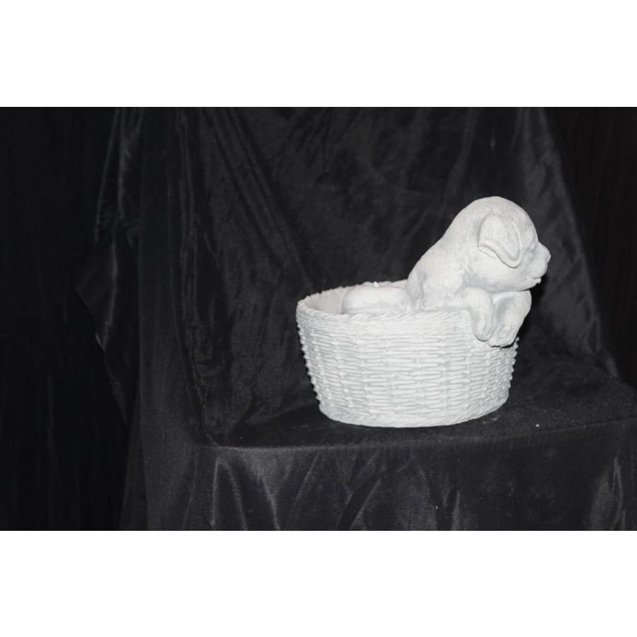 Betonnen plantenbakje met twee spelende puppy’s-4