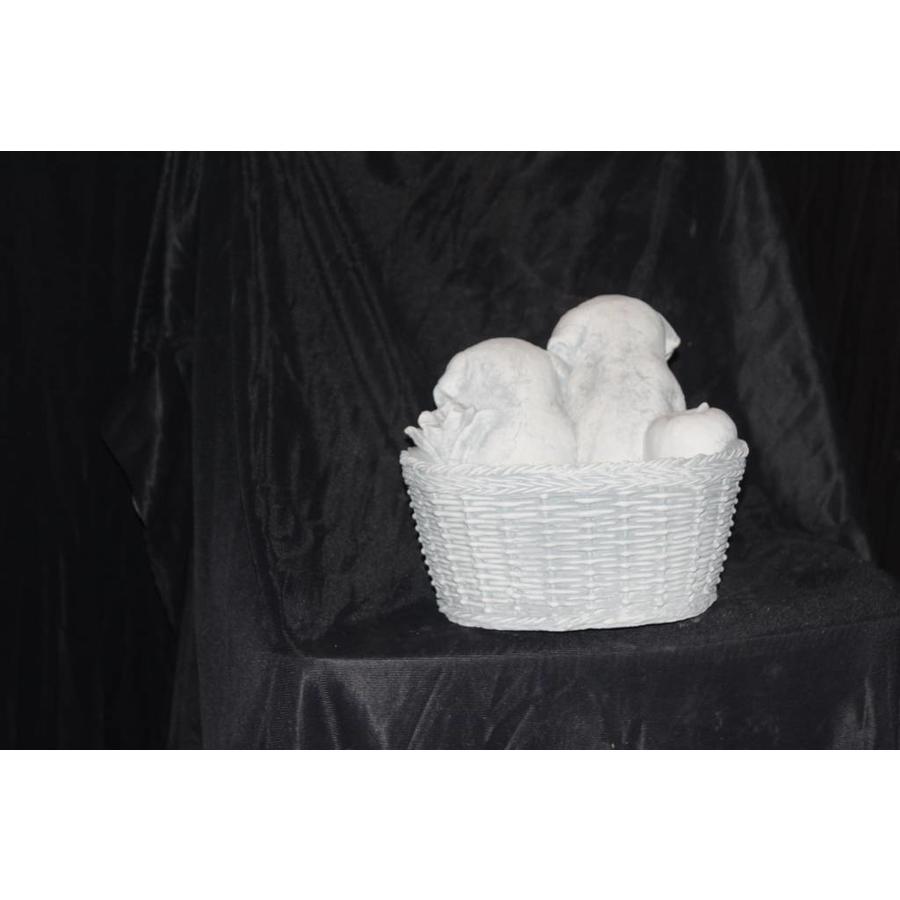Betonnen plantenbakje met twee spelende puppy’s-5