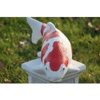 thumb-Kohaku koi Tuinbeeld-1