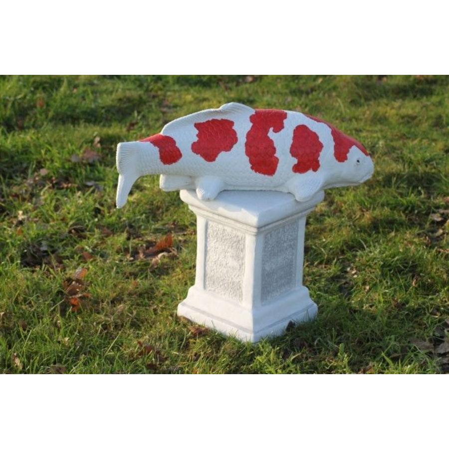 Kohaku koi van beton – Vijverbeeld-2