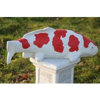thumb-Kohaku koi van beton – Vijverbeeld-3