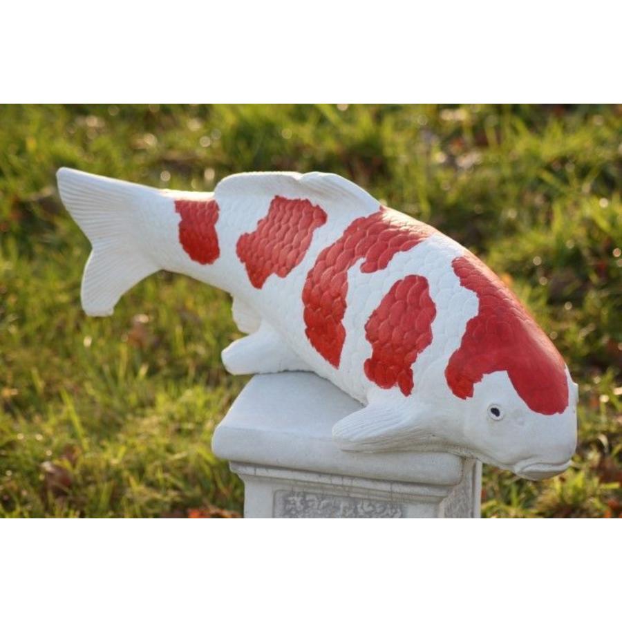 Kohaku koi van beton – Vijverbeeld-4