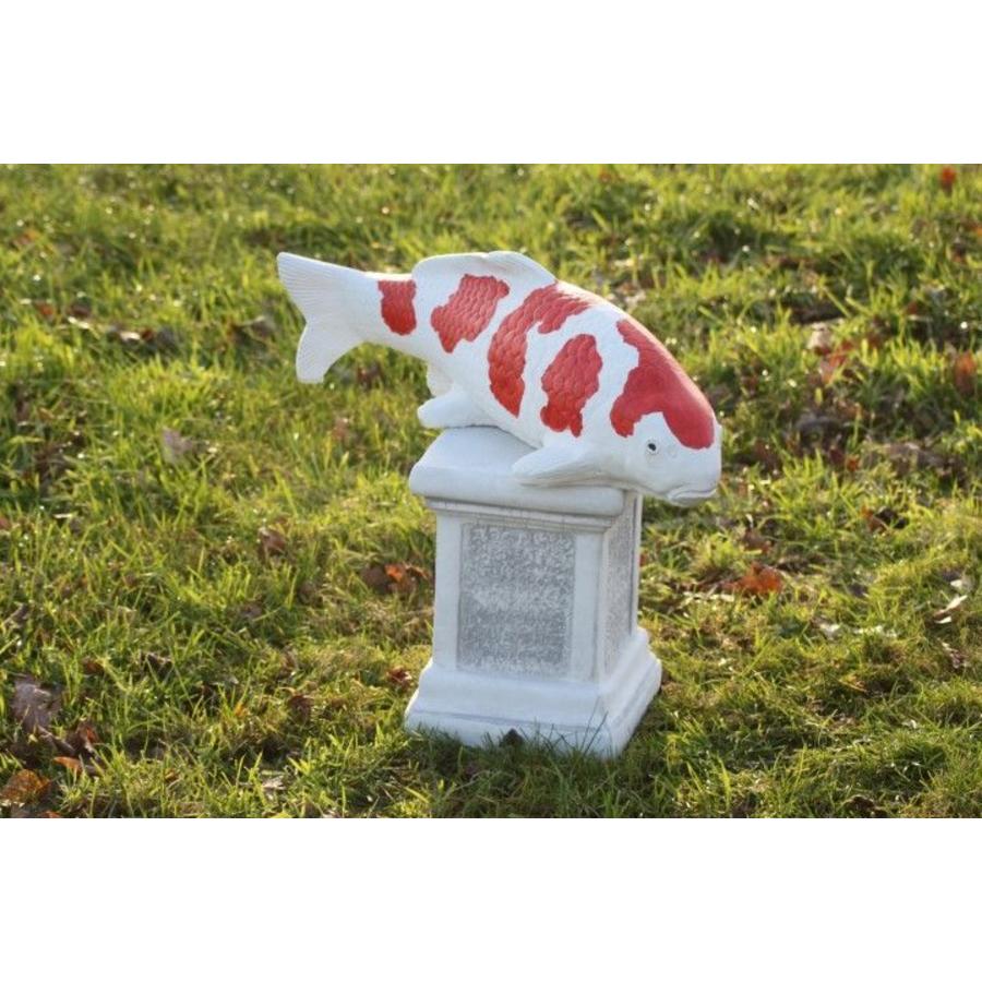 Kohaku koi van beton – Vijverbeeld-5