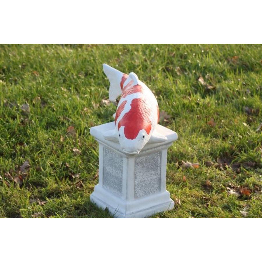 Kohaku koi van beton – Vijverbeeld-6
